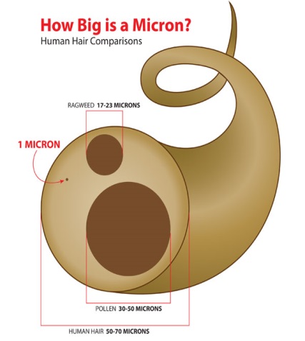 Micron Diagram